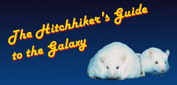 The Hitchhiker's Guide to the Galaxy