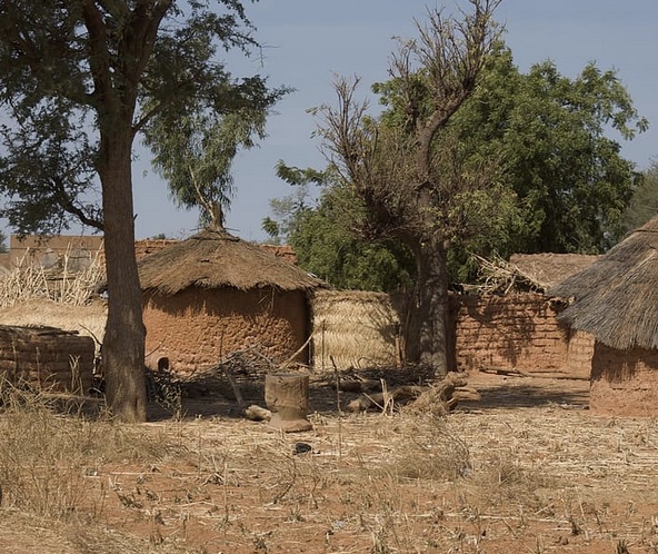 An African village is nestled in the shelter of some oasis trees in a landscape of sere beauty.
